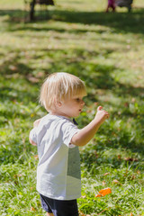Portrait of a happy little boy on a green lawn in a park.