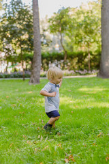 Happy little boy on a green lawn in a park.