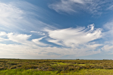 Tundra landscape in the north of Russia against the blue sky with clouds