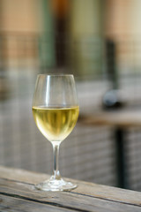 A glass of white vine on garden