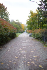 Walking path on a cloudy autumn day