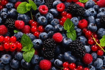 Blackberry, raspberry, blueberry,  red currant and mint background.