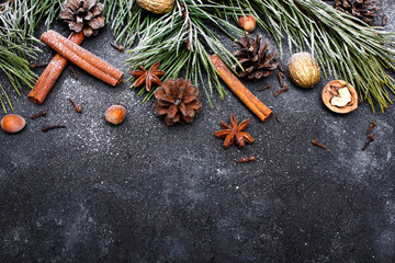 Beautiful Christmas Background with copy space for your text. Pine branch, cones, cinnamon, nuts covered with snow