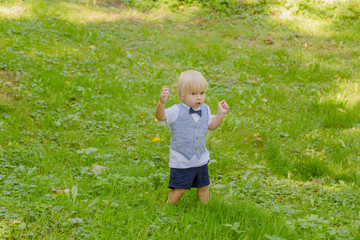 Happy little boy on a green lawn in a park.