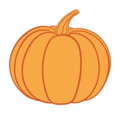 Orange pumpkin vector illustration. Autumn halloween pumpkin, vegetable graphic icon or print, isolated on white background