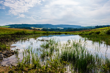 Restoration of creek in Novohradske hory, Czech republic. Water and nature. Pool. Conservation of the nature.