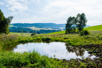Fototapeta premium Restoration of creek in Novohradske hory, Czech republic. Water and nature. Pool. Conservation of the nature.