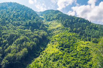 Mountain covered with green trees and bush. Landscape, Austria.