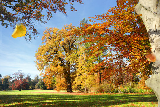 Landschaft 846