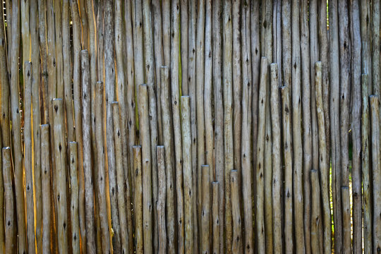 bamboo wood background pattern