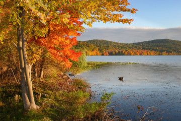 Autumn in Rockland Lake, New York.