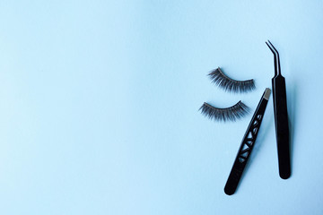 False eyelashes with two black tweezers on blue background with copy space, beauty 