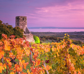 Colorful sunset over vineyards at lake Balaton, Hungary
