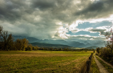 landscape with green field and blue sky