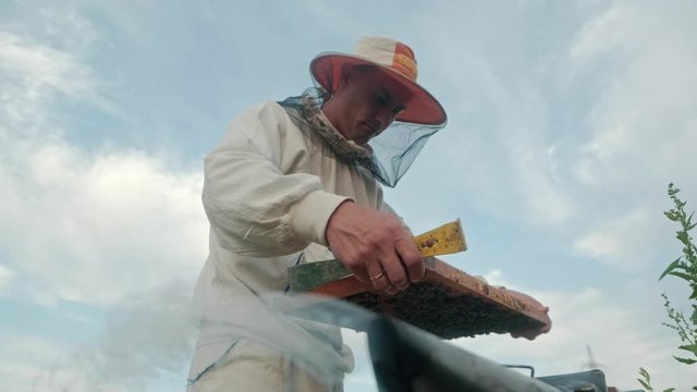 The beekeeper looks after bees, honeycombs, a lot of honey, in a protective beekeeper's beast. A beekeeper stands against the backdrop of nature and sky. Concept farmer, organics.