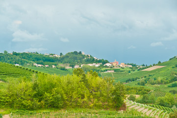 Front view, medium distance of a small village surrounded by old Dolcetto wine grapes and vines, in the hills of the Piedmont wine region of Italy.              