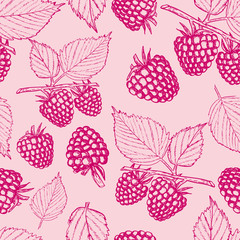 raspberry seamless pattern vintage style vector illustration