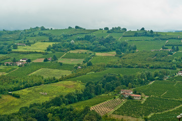 Fototapeta na wymiar Front view, long distance of hills cultivated with old Moscato wine grapes and vines, surrounding the town of Mango in the hills of the Piedmont wine region of Italy. 
