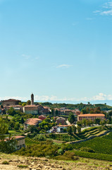 Naklejka premium Front view, medium distance of a small village, outside of Alba, with rows of Dolcetto grape vines, ready to be harvested in the cool, autumn season, Piedmont wine region, Italy