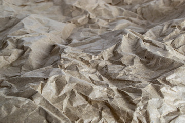 Light brown crumpled sheet of paper for texture and background.