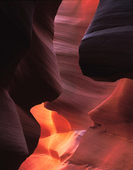 Lower Antelope Canyon near Page Arizona America