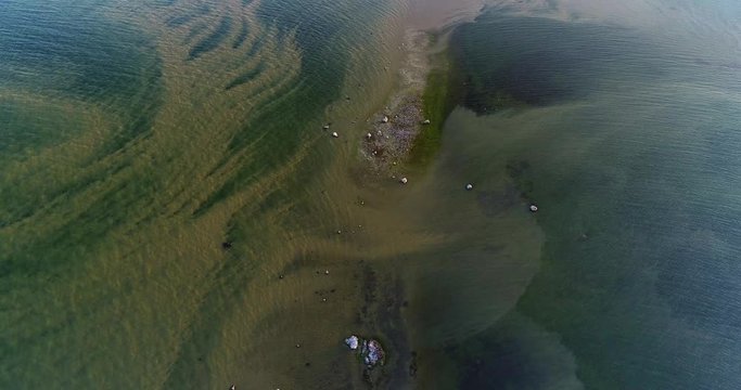 Cyanobacteria Blooms, Baltic Sea