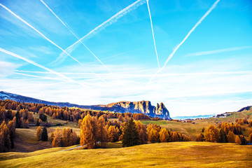 Mystic  autumn landscape with yellow larch with rows of airplans on the sky  in Alpe di Siusi in the Dolomites. The Italian Alps.