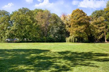 Lawn, trees and path in summer park.