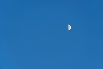 Half moon on a blue sky. Earth satellite in the afternoon on blue.