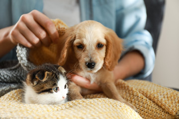 Owner with adorable little kitten and puppy, closeup