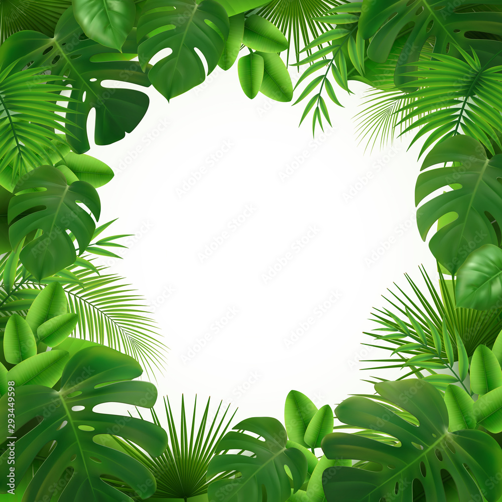 Canvas Prints Tropical Leaves Frame Composition