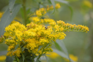 im trying to eat guys