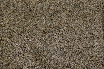 Texture of wheat agriculture stocks