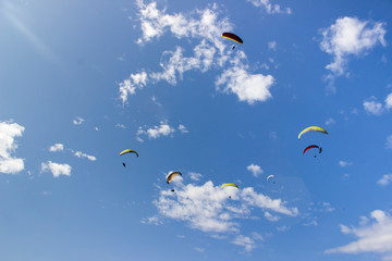 Paragliders in the sky