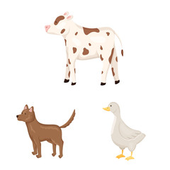 Isolated object of farm and food icon. Set of farm and countryside stock symbol for web.