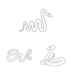 Vector design of poison and evil symbol. Collection of poison and bite stock vector illustration.