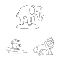 Vector design of entertainment and forest icon. Collection of entertainment and park vector icon for stock.