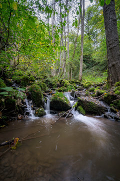 Schöner Wasserlauf eines Waldbaches