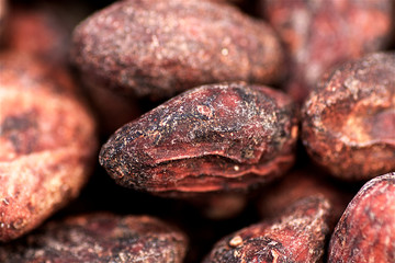 Cacao en el Caribe