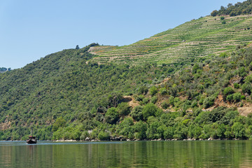 auf dem Douro, N&auml;he Pinhao, Portugal