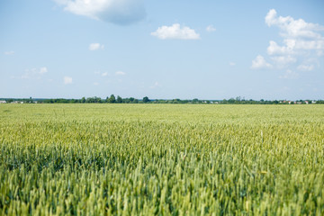 Beautiful nature on a bright sunny day