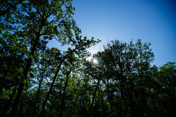 Beautiful nature on a bright sunny day