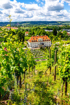 Germany, Radebeul, View of vineyard and Wackerbarth Castle