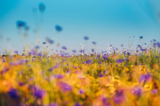 Distant view of wine turbines on cornflower field against blue sky