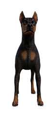 3d Illustration of a dog with ears up