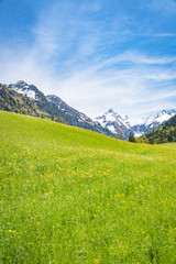 Fototapeta na wymiar Blühende Bergwiesen im Tal umgeben von massiven Gebirge