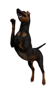 3d Illustration of a dog standing on hind legs with front paws up and tail out in a playful stance