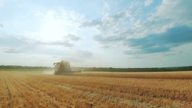 Combine harvester gathers the wheat crop. Wheat harvesting shears. Combines in the field Food industry concept.