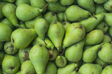 Full frame photography of freshly picked green pears