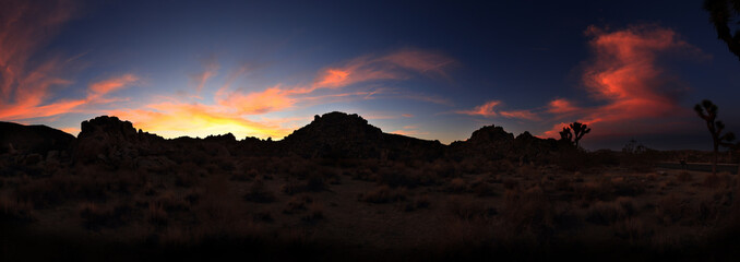 Naklejka premium Panorama at Joshua tree